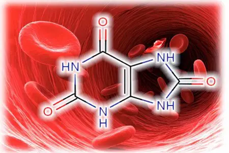 An increase in the level of uric acid in the blood: the norm, causes and symptoms