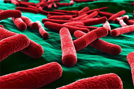 Analysis of feces for dysbacteriosis: interpretation of the results