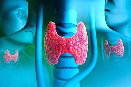 Analysis of thyroid hormones (normal levels of TSH and T4 hormones)