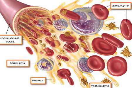 Anemia: causes, types of symptoms and treatment