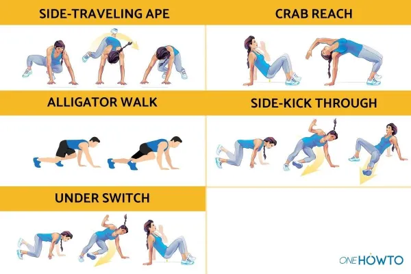 Animal Flow Workouts &#8211; Definition and Features of Exercises