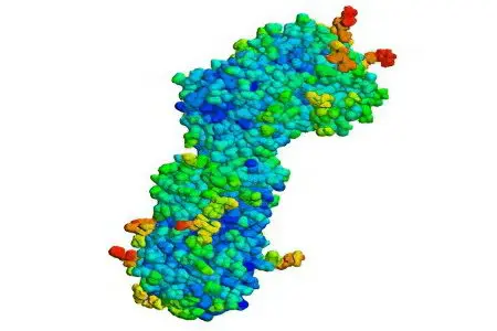 Antithrombin III &#8211; what is it?