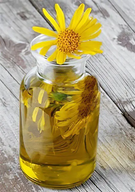 Arnica mountain