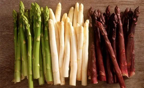 Asparagus: what is it? 11 useful properties, harm and contraindications Asparagus: what is it? 11 useful properties, harm and contraindications