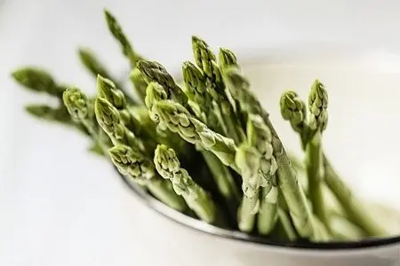 Asparagus: what is it? 11 useful properties, harm and contraindications