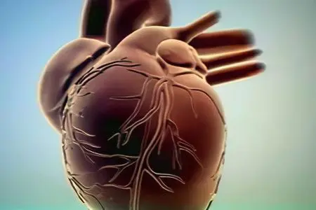 Atrophy of the heart muscle: causes, symptoms and treatment