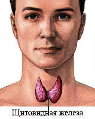 Autoimmune thyroiditis: causes and symptoms