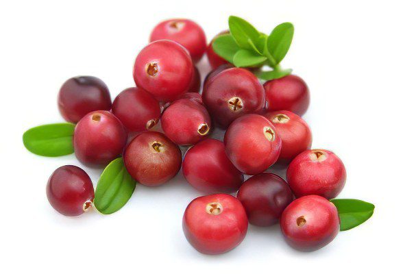 bearberry