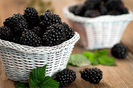 Blackberry: useful properties, composition, contraindications