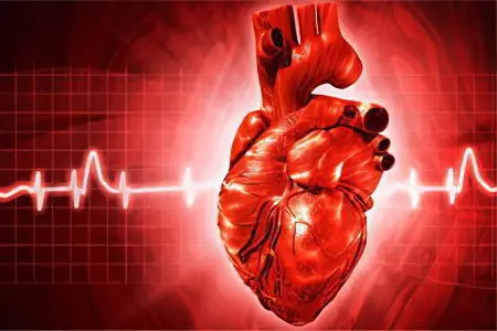 Blood clot in the heart: symptoms and treatment