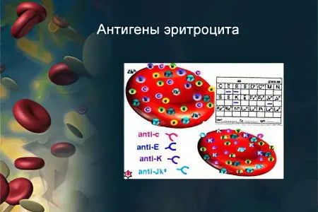 Blood group: compatibility, what does it affect?