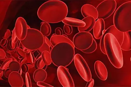 Blood group: compatibility, what does it affect?