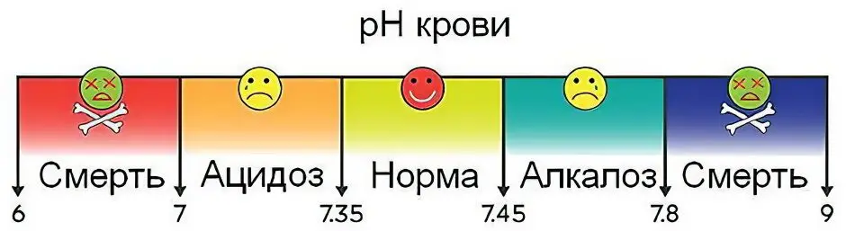 Blood pH: what is the norm and how to measure it?