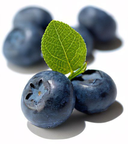 Blueberries: useful properties, recipes