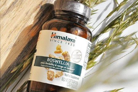 Boswellia serrata joint healer