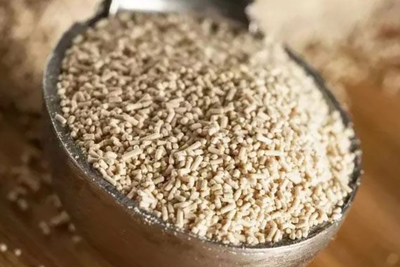 Brewers yeast for health: composition, benefits and harms, instructions