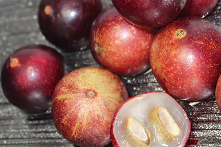 Camu Camu &#8211; 7 useful properties, how to eat it?