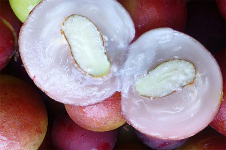 Camu Camu - 7 useful properties, how to eat it?