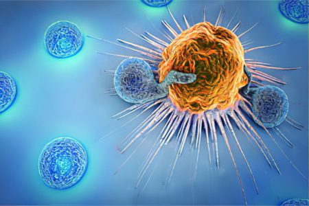 Cancer Immunotherapy: Nobel Prize in Medicine 2018