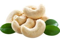 Cashews: benefits and harms, how much can you eat?