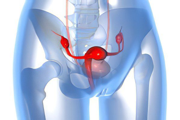 Causes and symptoms of a cyst of the left and right ovary in women