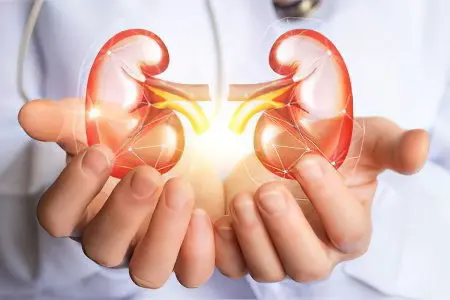 Causes and symptoms of glomerulonephritis