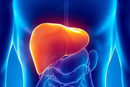 Causes and symptoms of liver fibroma