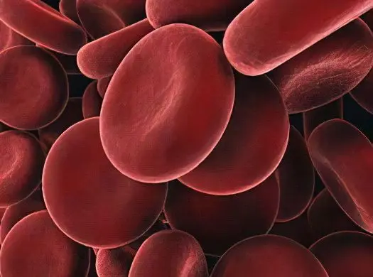 Causes and symptoms of low hemoglobin