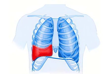 Causes, symptoms and treatment of hemothorax