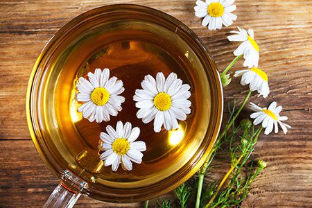 Chamomile: benefits, preparation and contraindications