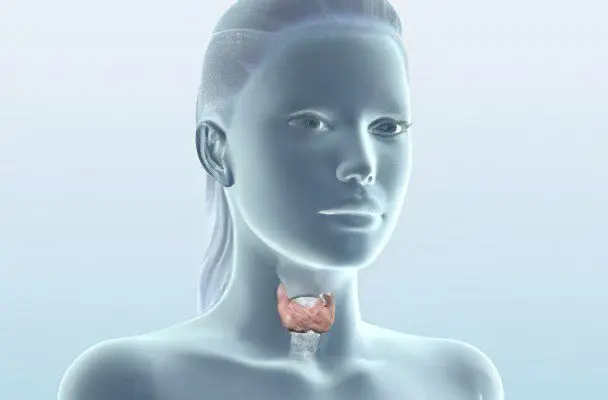 Change in the parenchyma of the thyroid gland