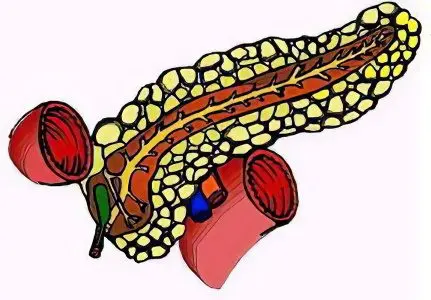 Changes in the parenchyma of the pancreas