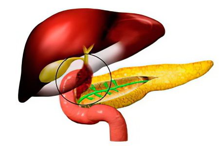 Cholagogue drugs: a review of 14 manufacturers