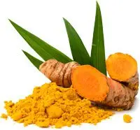 Complete chemical composition of turmeric