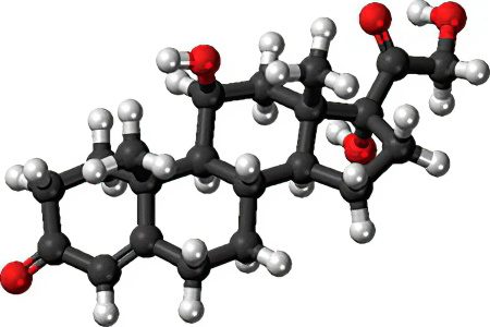 Cortisol: what is it? Norm in the blood