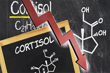 Cortisol: what is it? Norm in the blood