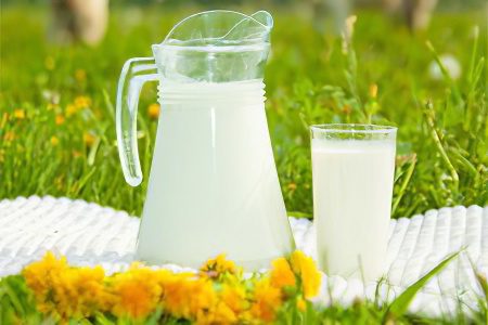 Cow and goat milk for children - why is it harmful and dangerous?