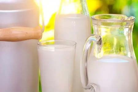 Cow and goat milk for children - why is it harmful and dangerous?