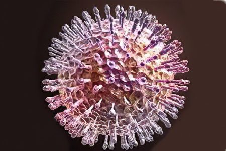 Description, symptoms and treatment of all types of herpes virus