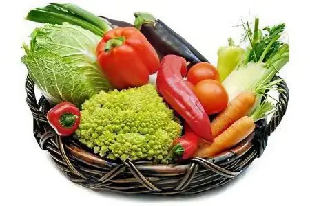 Diet for gastritis of the stomach