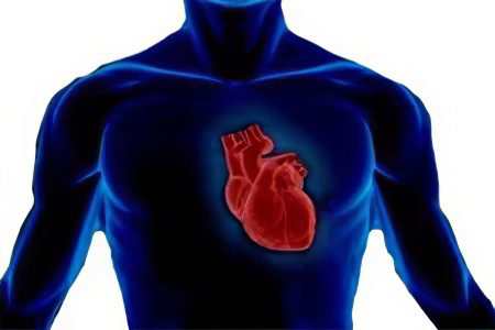 Diseases of the heart and blood vessels, and their symptoms