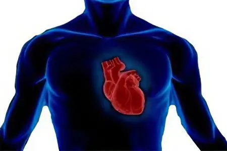 Diseases of the heart and blood vessels, and their symptoms