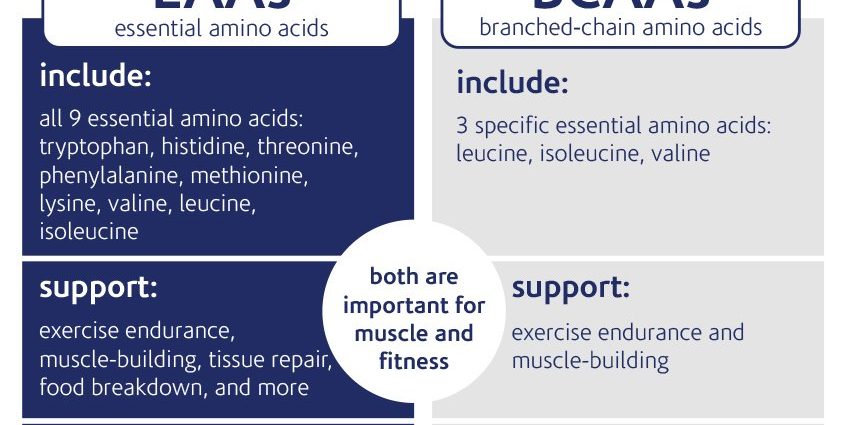 Do athletes need amino acid supplements: facts for and against.