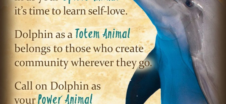 Dream about the dolphin &#8211; meaning