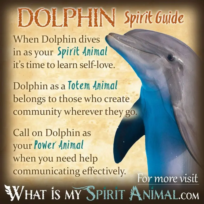 Dream about the dolphin &#8211; meaning