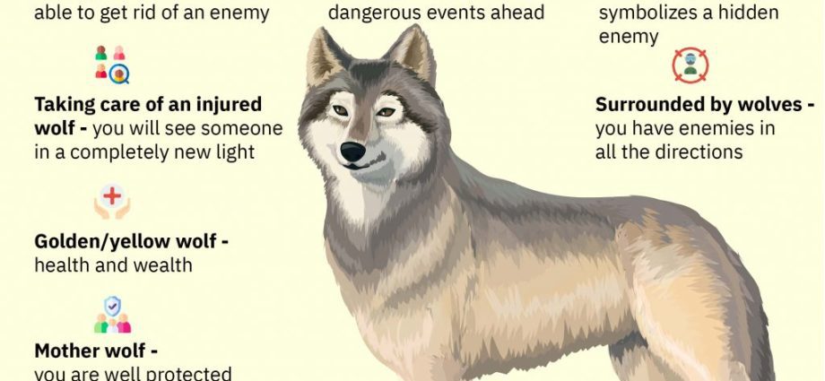 Sen o vlkovi – význam