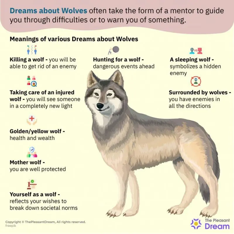 Dream about the Wolf &#8211; meaning