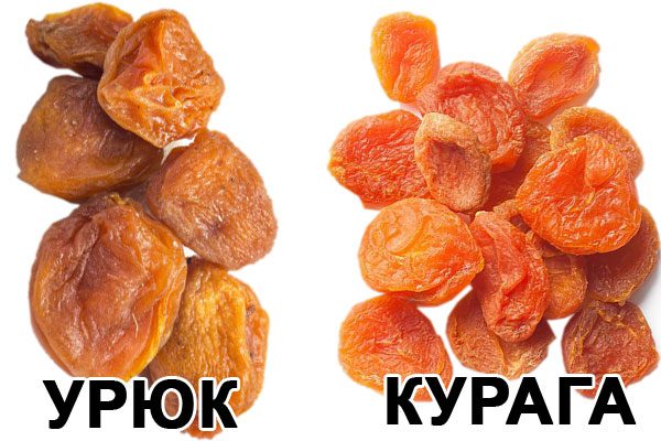 Dried apricots - useful properties, recipes, treatment