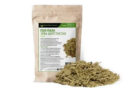 Erva woolly (Pol-Pala grass): instruction