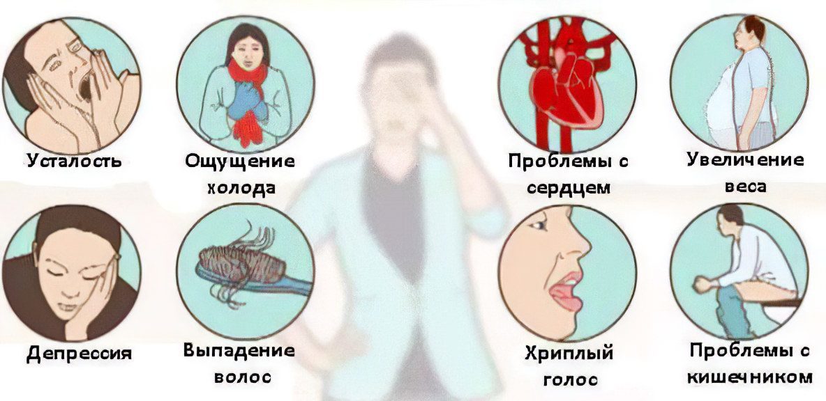 Euthyroidism of the thyroid gland